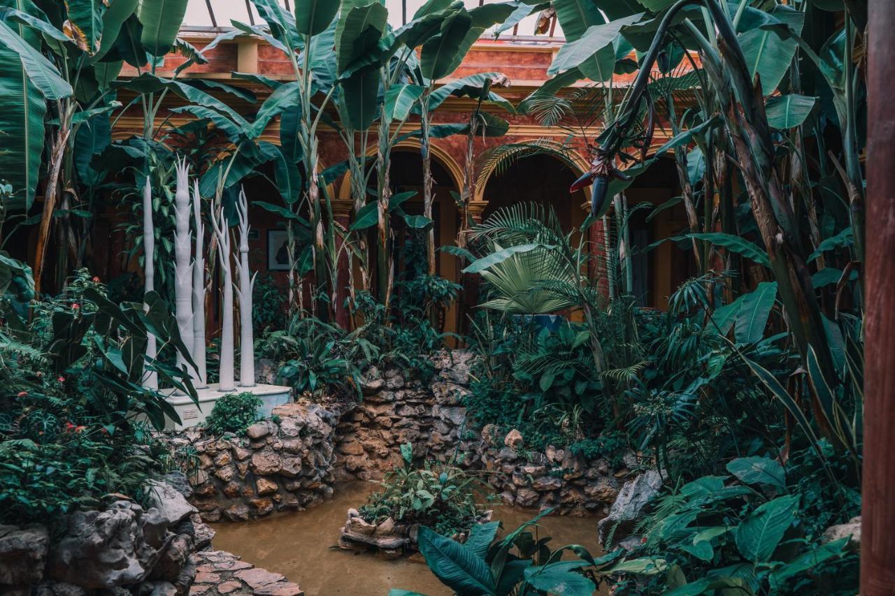 Hotel Casa Mexicana ซานกริสโตบัล เด ลาสกาซาส ภายนอก รูปภาพ